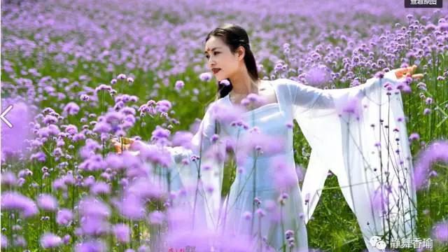 真爱也流氓