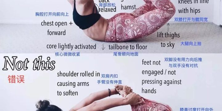 体位法教学~弓式