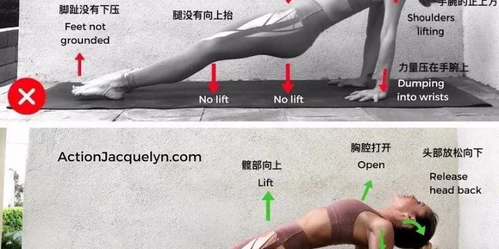 体位法教学~加强伸展式