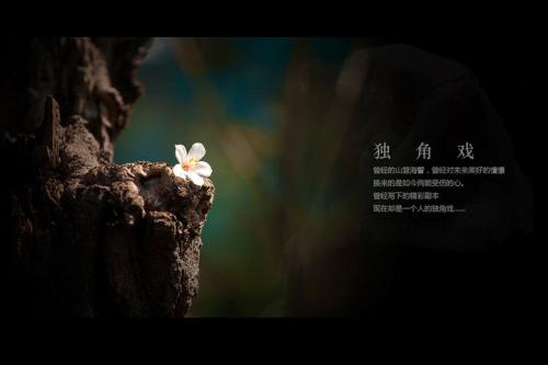 舞韵瑜伽教培~毕业成品舞~《独角戏》