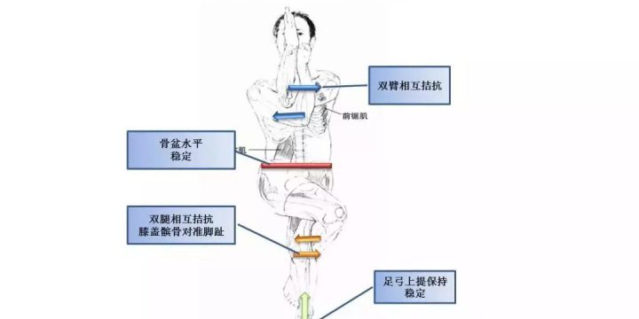 体位法教学~鹰式