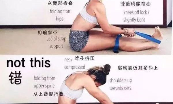 体位法教学~双腿背部伸展式