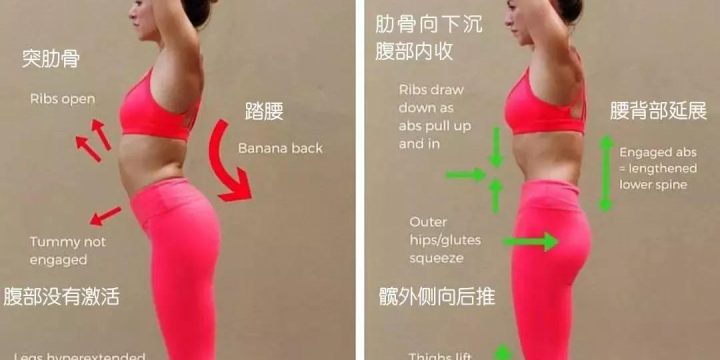 体位法教学~山式举臂式