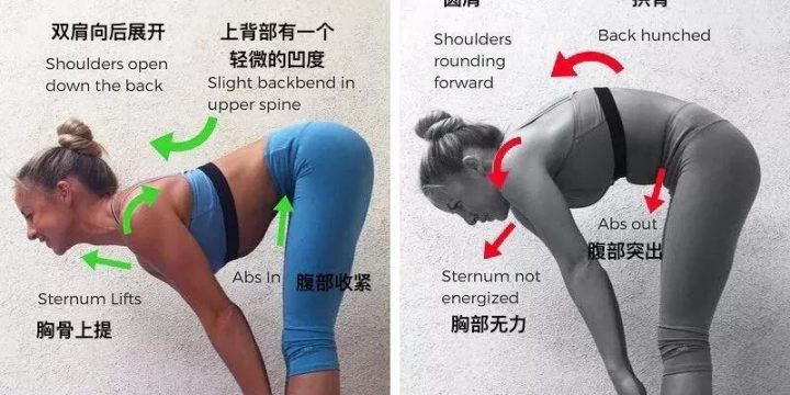 瑜伽体位法教学~脊椎延展式