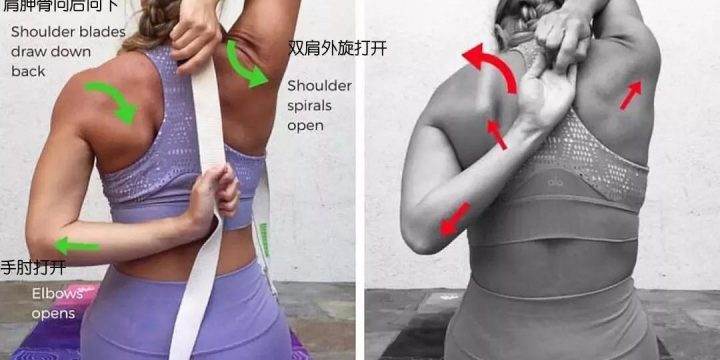 瑜伽体位法教学~牛面式