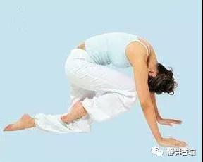 瑜伽体位教学~虎式