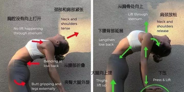 瑜伽体位教学~骆驼式