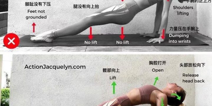 瑜伽体位教学~反台式