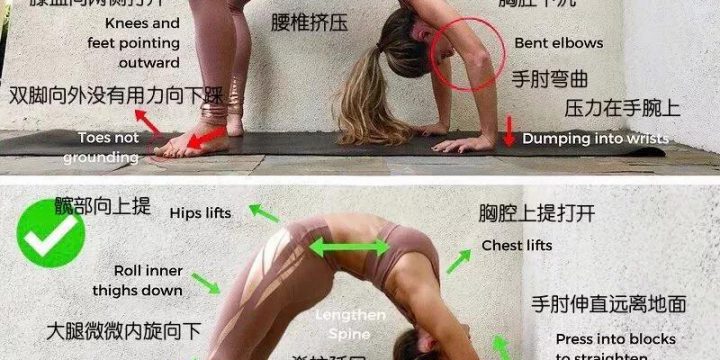 瑜伽体式的名由来