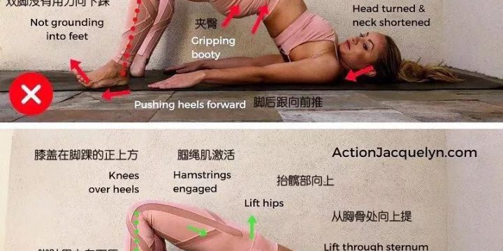 瑜伽体位教学~桥式