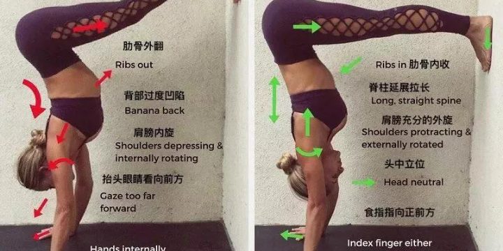 阿奴萨拉瑜伽