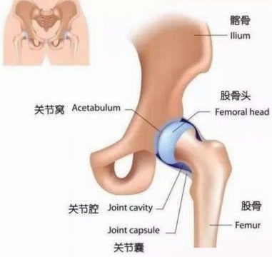 8组瑜伽带辅助开髋体式，助你“全方位”打开髋部！