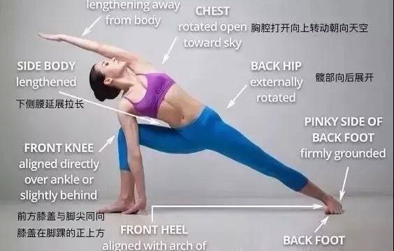 瑜伽元素解析